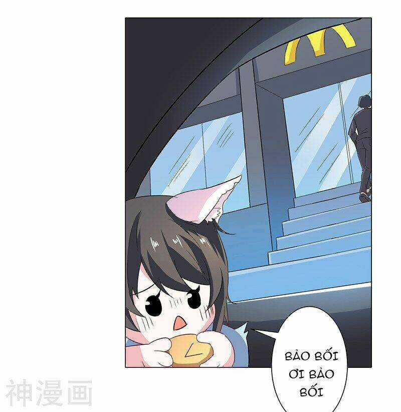 Quy Luật Năm Bản Mệnh Của Hồ Ly Chapter 5 trang 8