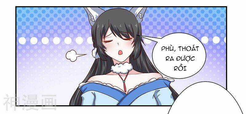 Quy Luật Năm Bản Mệnh Của Hồ Ly Chapter 6 trang 11