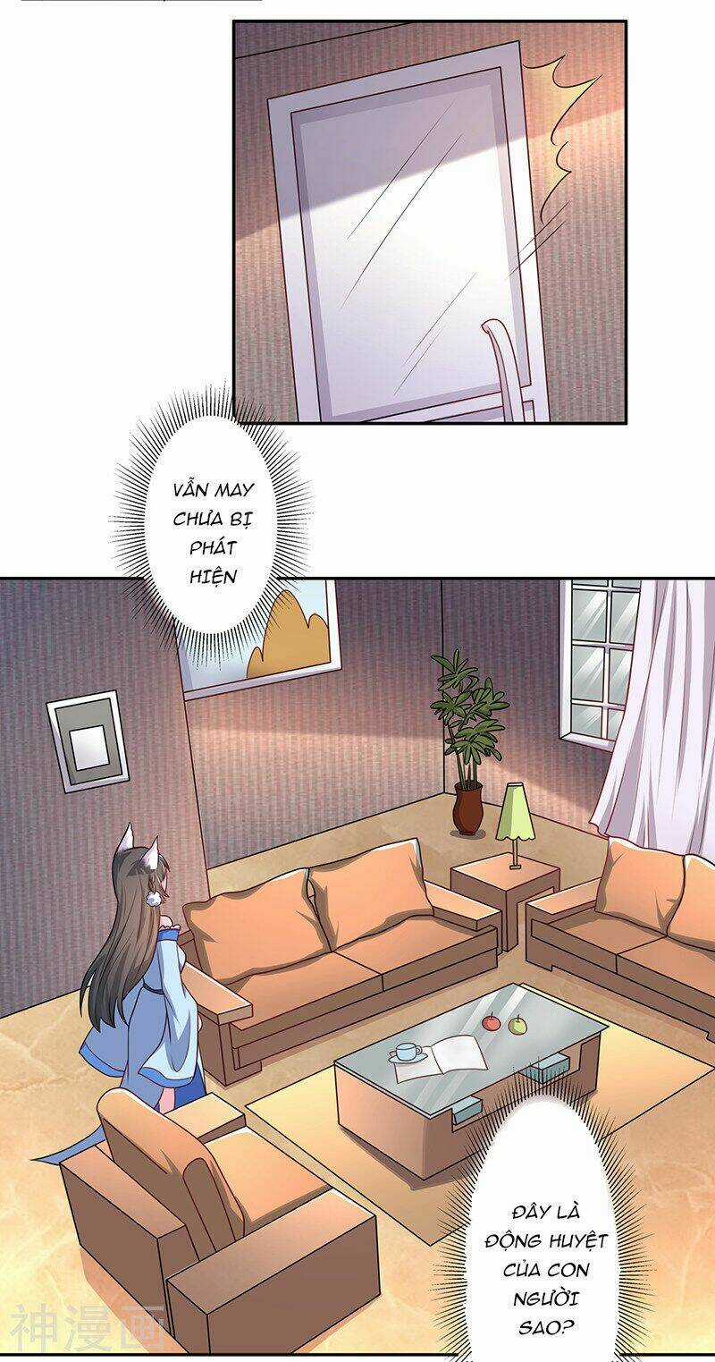 Quy Luật Năm Bản Mệnh Của Hồ Ly Chapter 6 trang 15