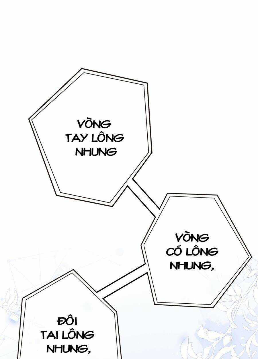 Quý Phi Hôm Nay Cũng Bị Thịt Chapter 17 trang 2