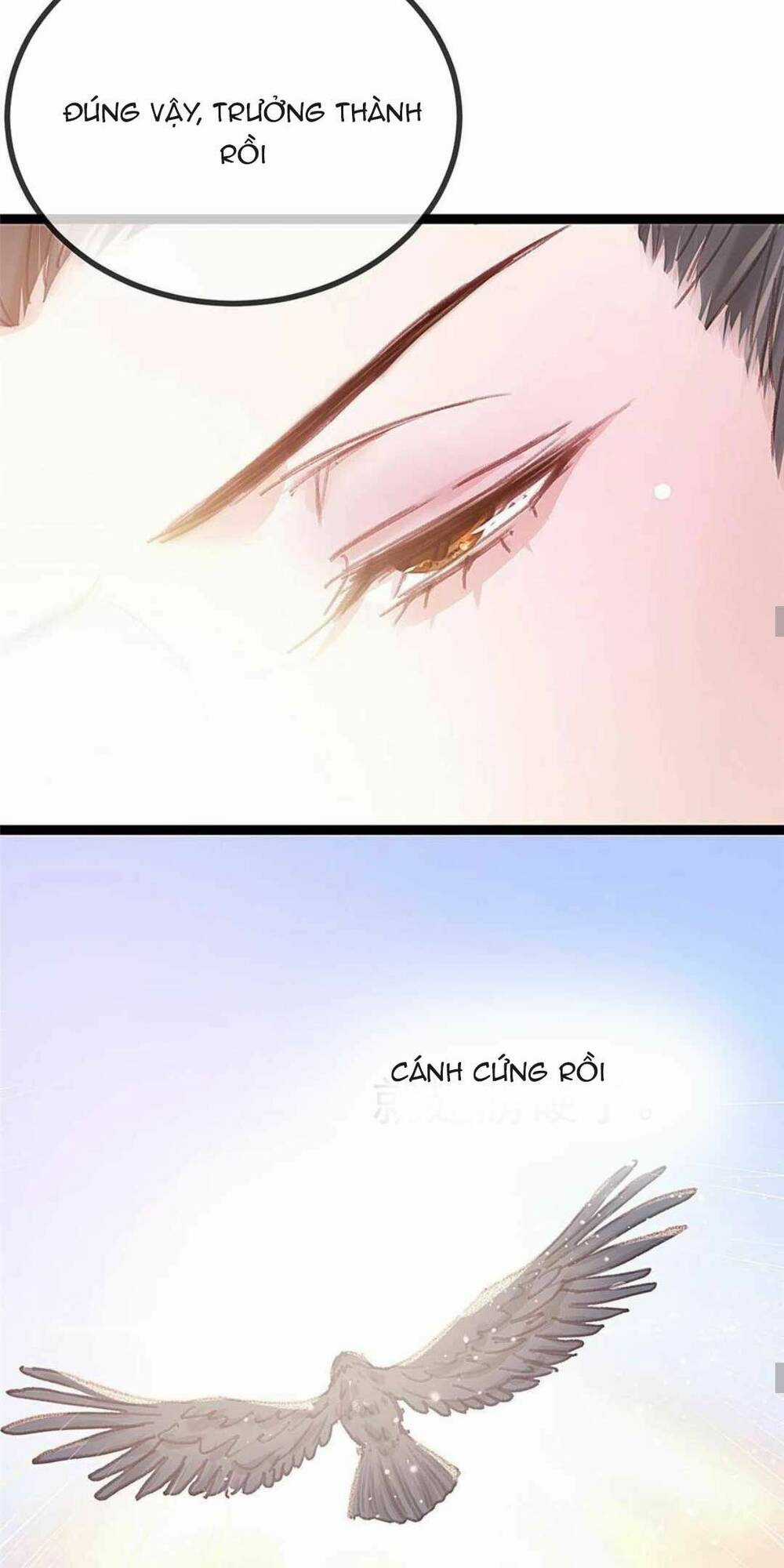 Quý Phi Lúc Nào Cũng Muốn Được Lười Biếng Chapter 79 trang 21