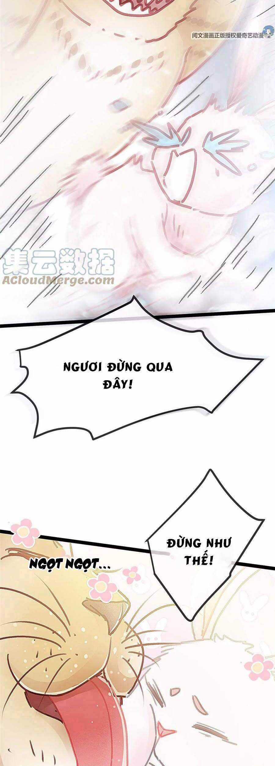 Quý Phi Muốn Trở Thành Con Cá Mặn Mòi Chapter 26 trang 21