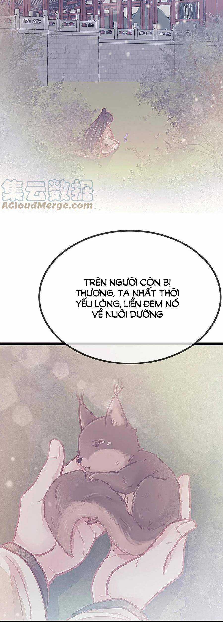 Quý Phi Muốn Trở Thành Con Cá Mặn Mòi Chapter 44 trang 6