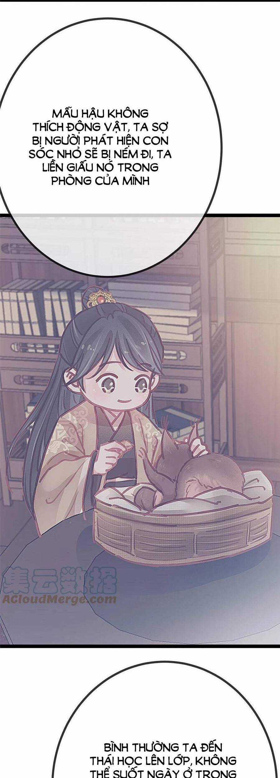 Quý Phi Muốn Trở Thành Con Cá Mặn Mòi Chapter 44 trang 7