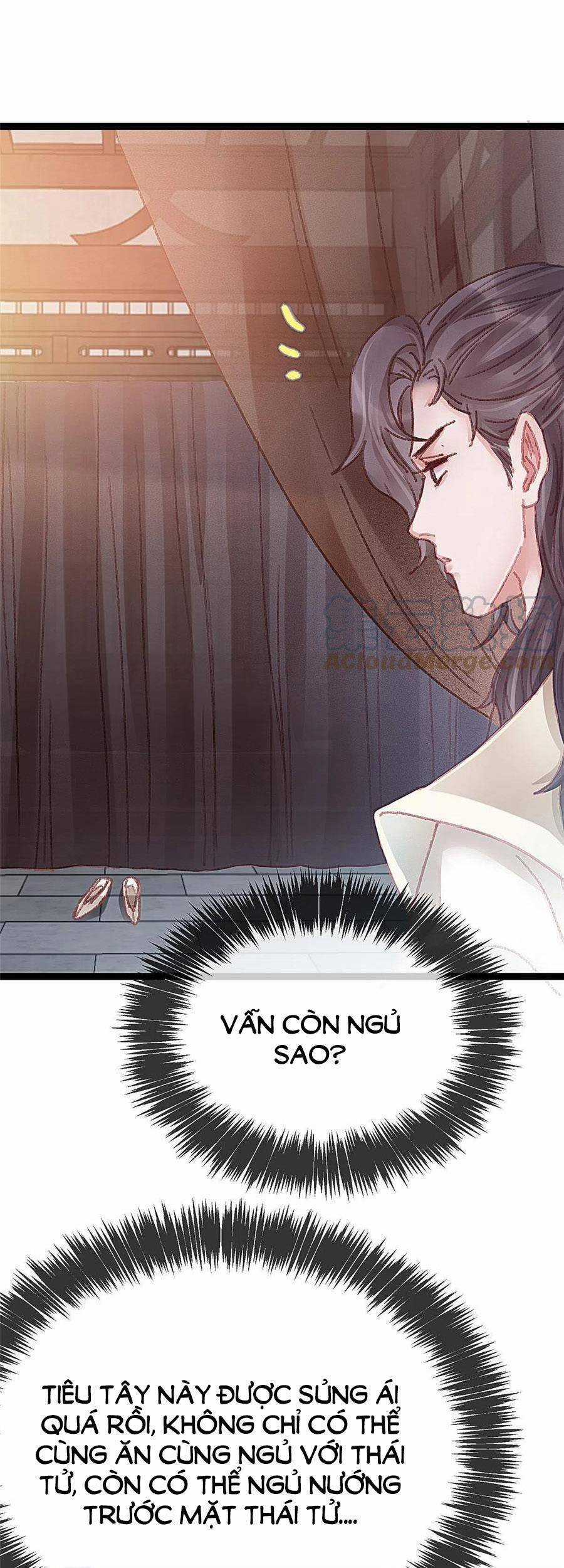 Quý Phi Muốn Trở Thành Con Cá Mặn Mòi Chapter 52 trang 32