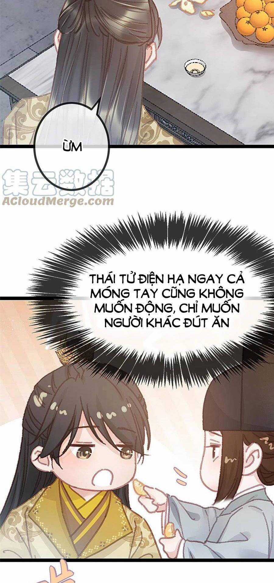 Quý Phi Muốn Trở Thành Con Cá Mặn Mòi Chapter 53 trang 6