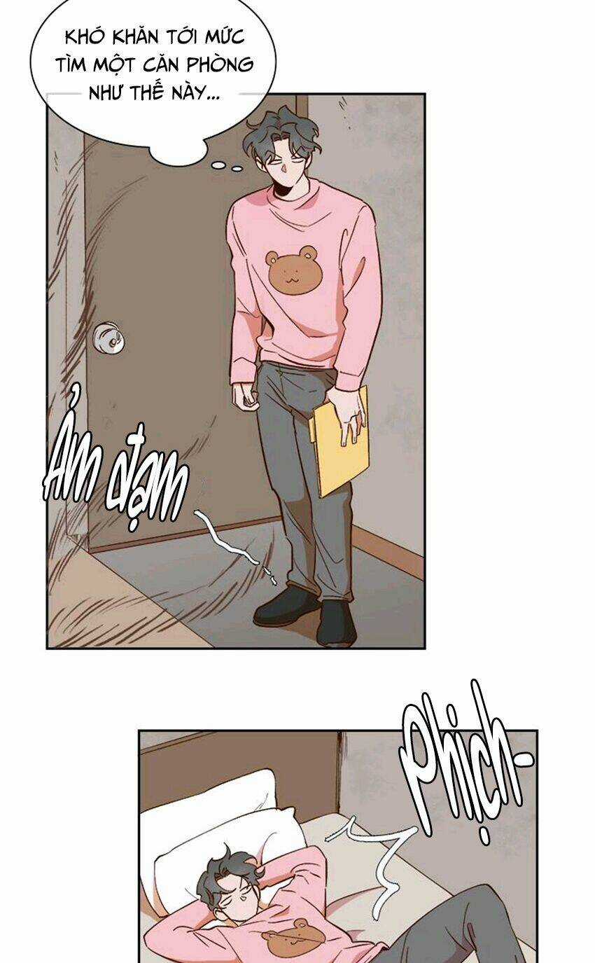 Quỷ Sứ Số 4 Chapter 62 trang 43