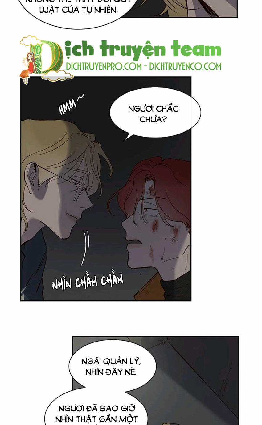 Quỷ Sứ Số 4 Chapter 74 trang 15