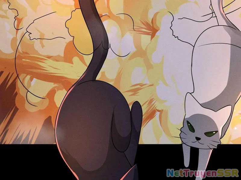 Quy Tắc Chuyện Lạ: Bắt Đầu Hóa Thân Đánh Lui Chiến Thần Chapter 204 trang 40