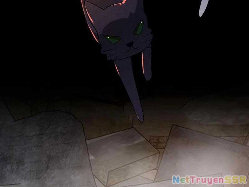 Quy Tắc Chuyện Lạ: Bắt Đầu Hóa Thân Đánh Lui Chiến Thần Chapter 204 trang 41