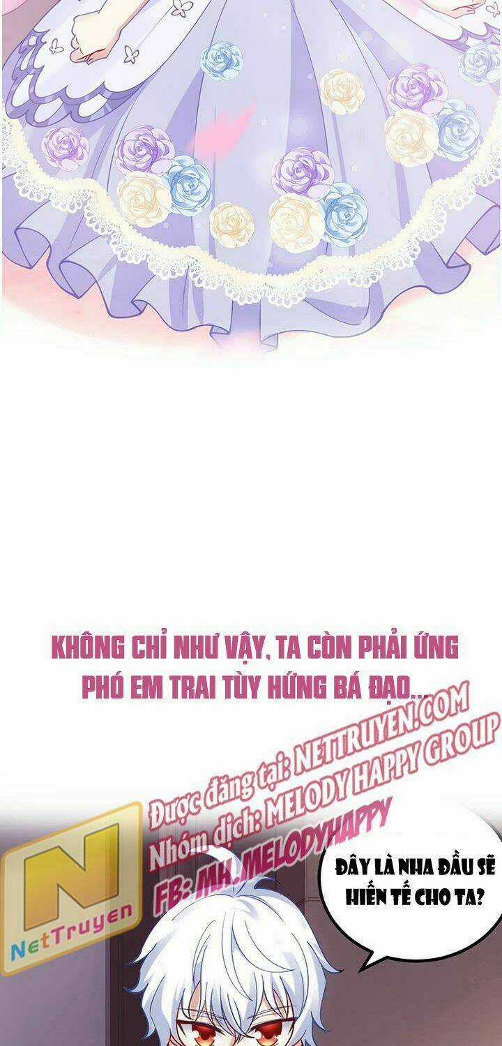 Quy Tắc Sinh Tồn Của Công Chúa Chapter 0 trang 21