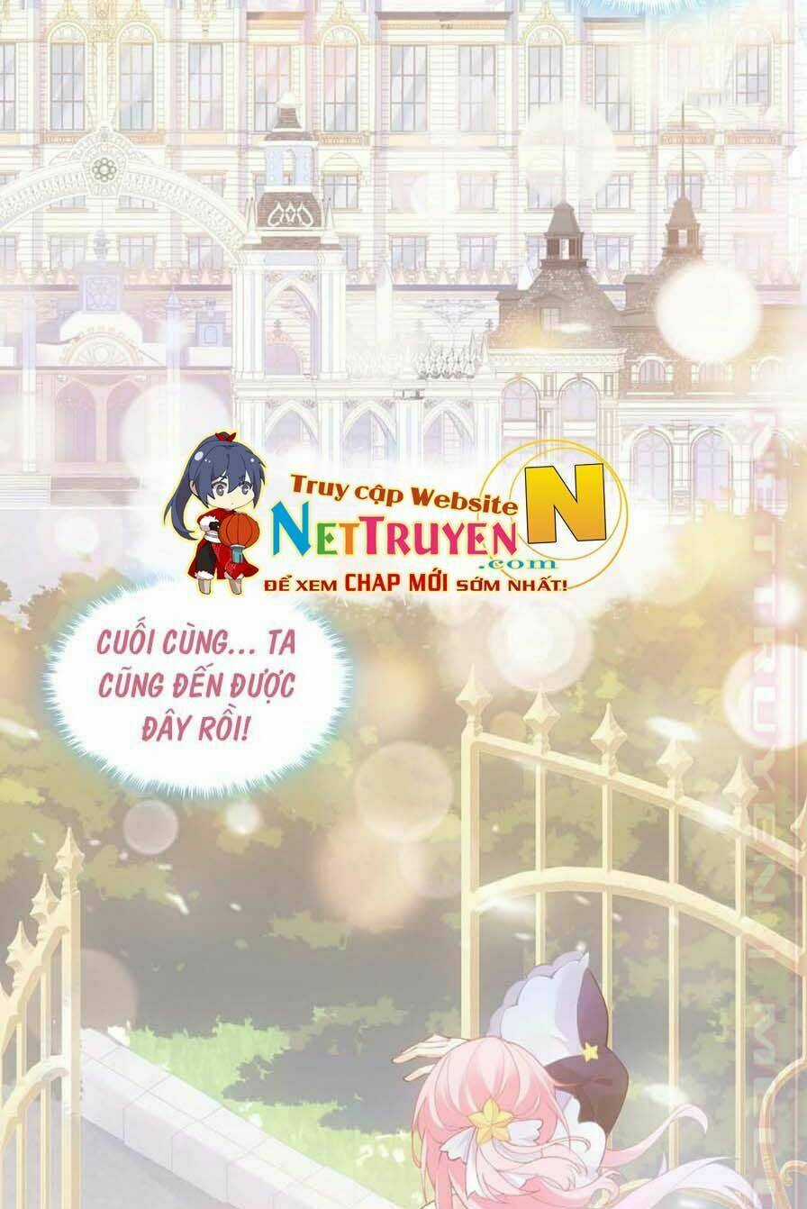 Quy Tắc Sinh Tồn Của Công Chúa Chapter 39 trang 42