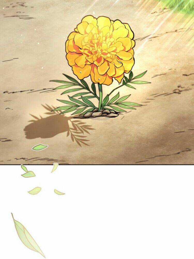 Quý Tộc Lười Biếng Trở Thành Thiên Tài Chapter 29 trang 109