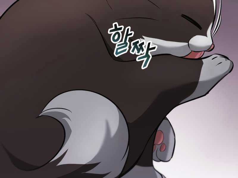 Quý Tộc Lười Biếng Trở Thành Thiên Tài Chương 42 trang 197