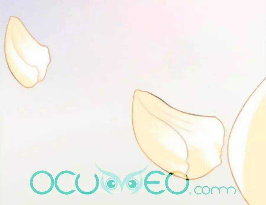 Quyền Phi Chi Đế Y Phong Hoa Chapter 1.2 trang 50