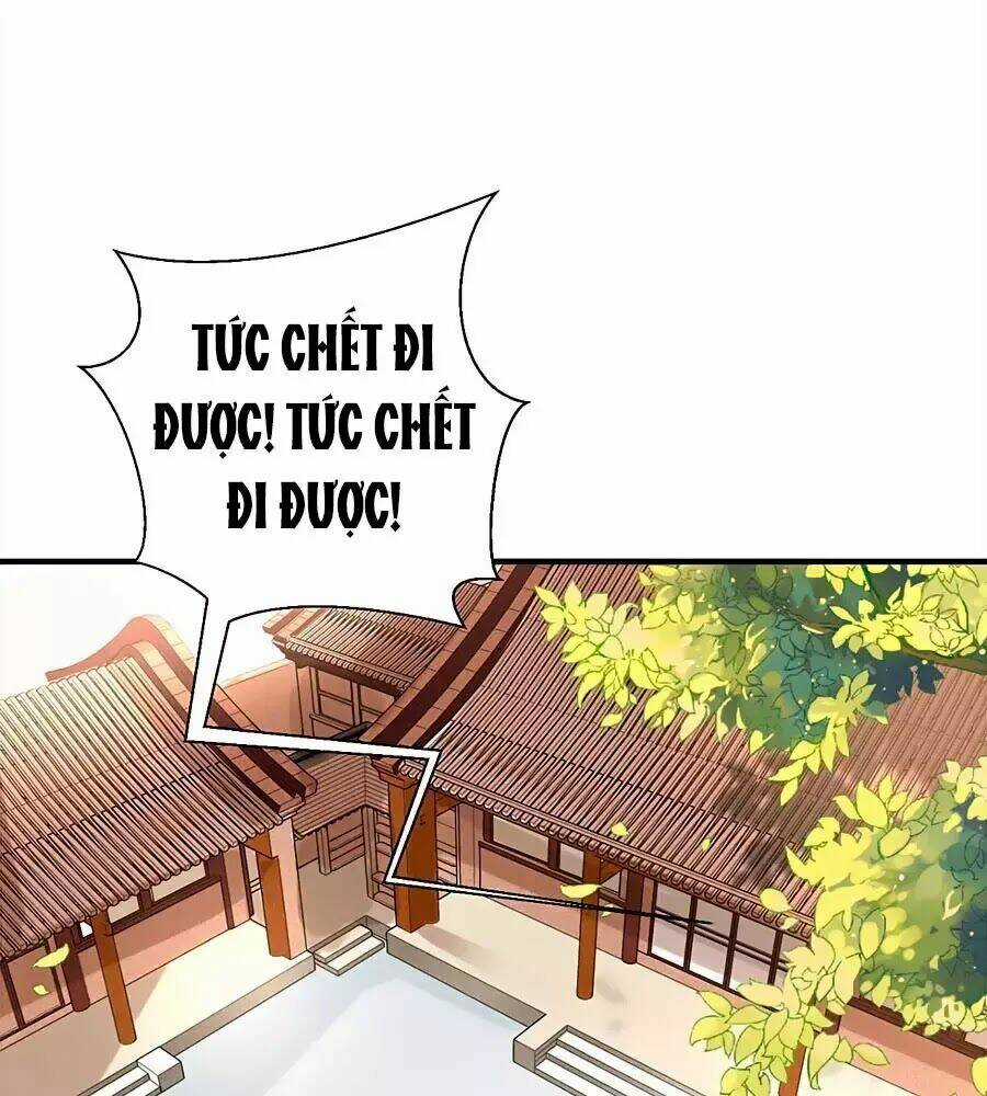 Quyền Phi Chi Đế Y Phong Hoa Chapter 4 trang 3