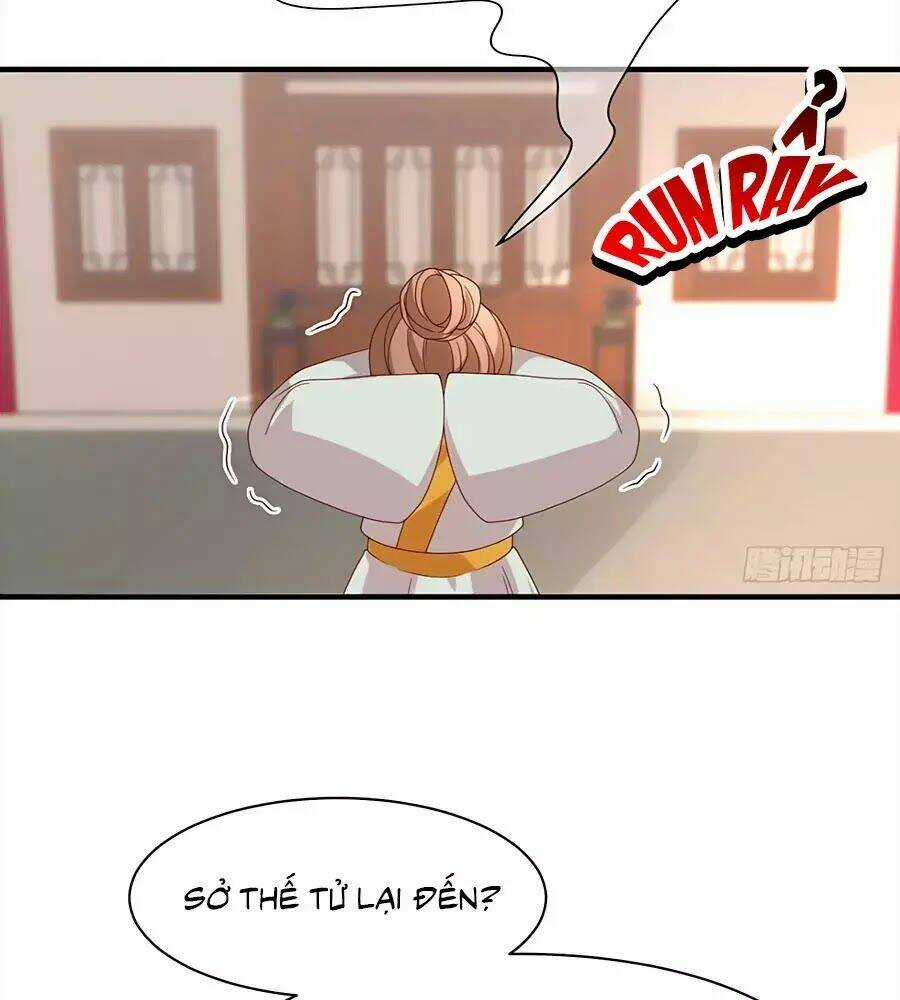 Quyền Phi Chi Đế Y Phong Hoa Chapter 4 trang 7