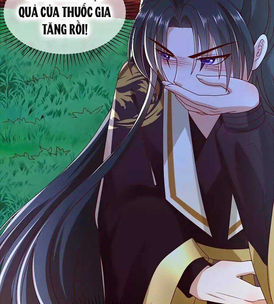 Quyền Phi Chi Đế Y Phong Hoa Chapter 5 trang 11