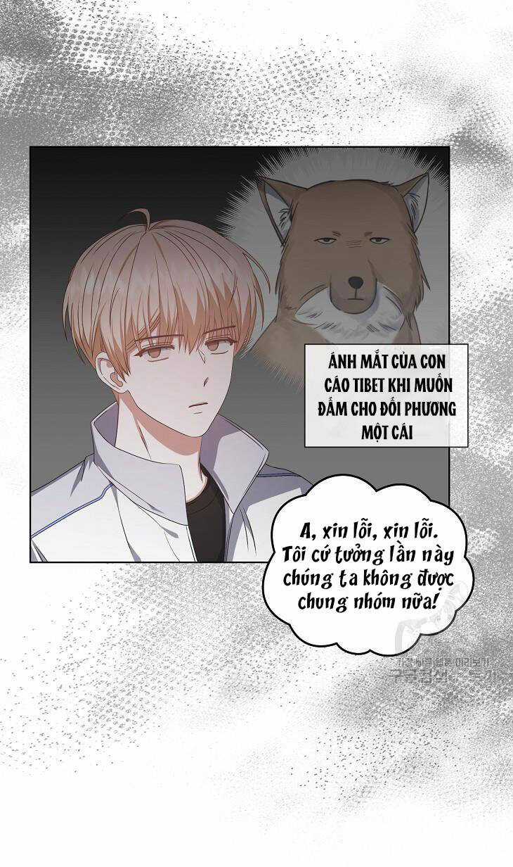 Ra Mắt Hay Ra Đi Chương 39.1 trang 20