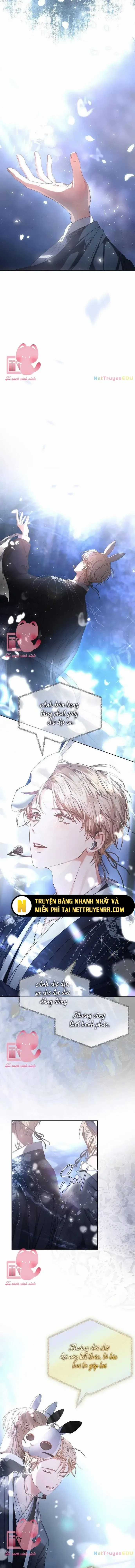 Ra Mắt Hay Ra Đi Chương 45 trang 10