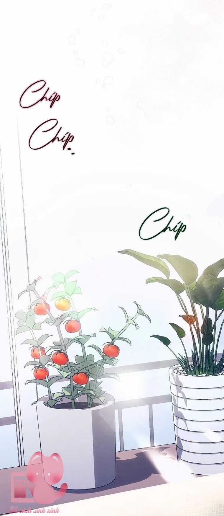 Ra Mắt Hay Ra Đi Chương 65.5 trang 34