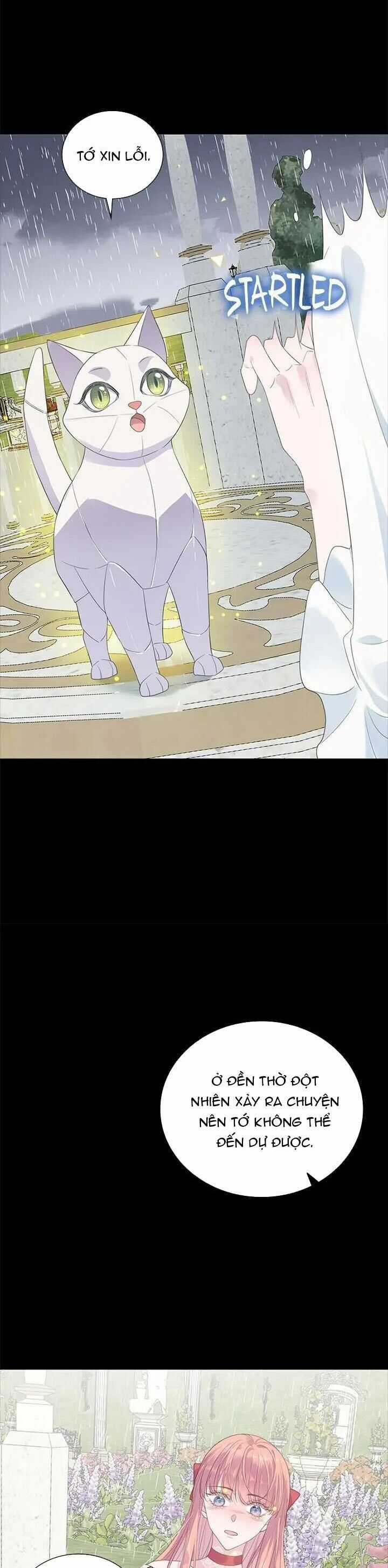 Radia Chapter 18 trang 5