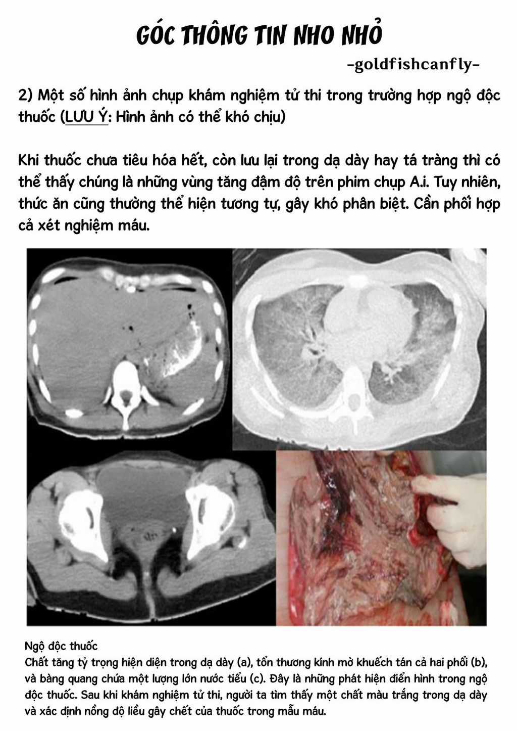 Radiation House Chapter 104 trang 26