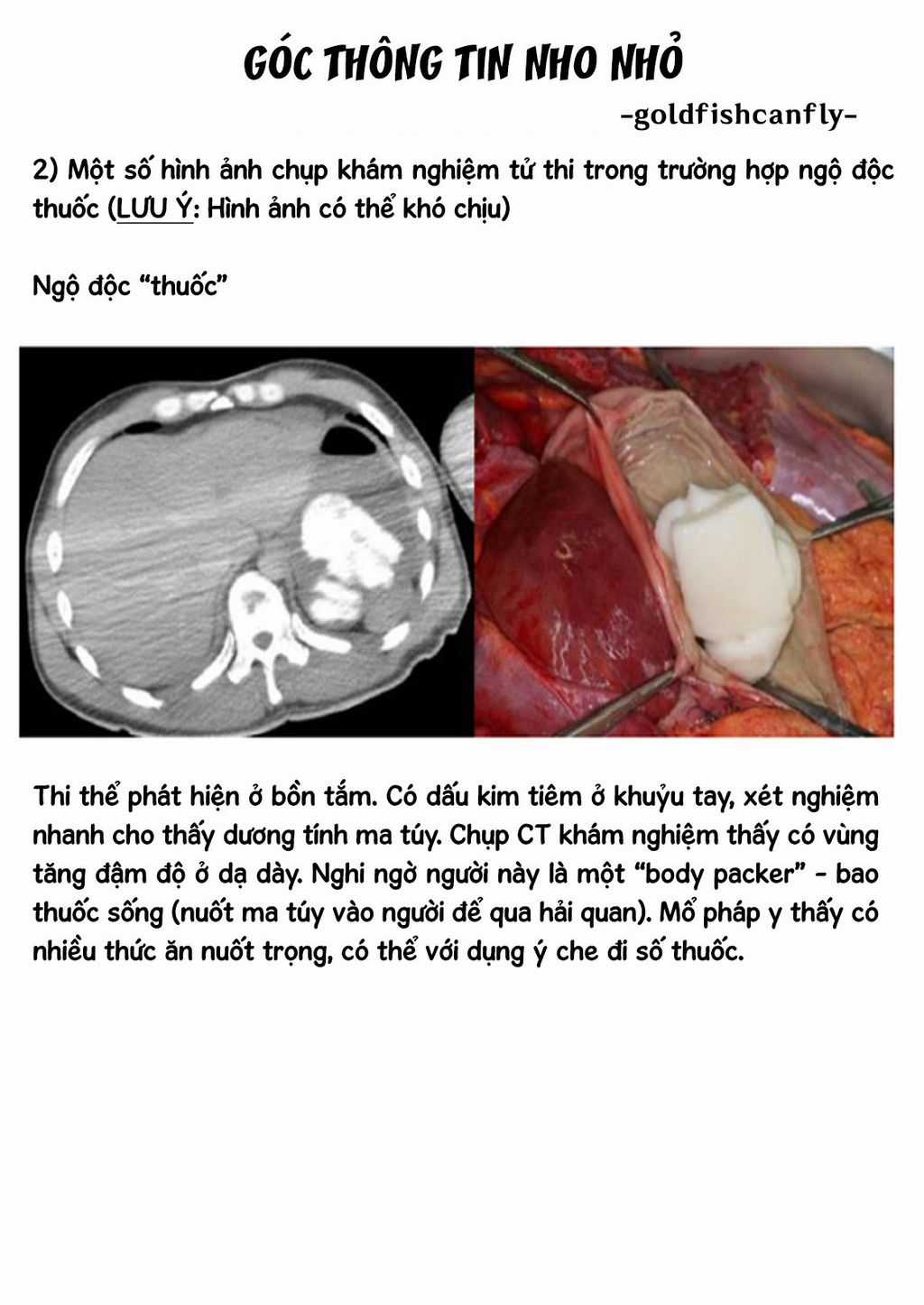 Radiation House Chapter 104 trang 27