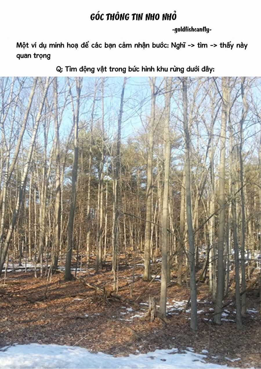 Radiation House Chapter 95 trang 24