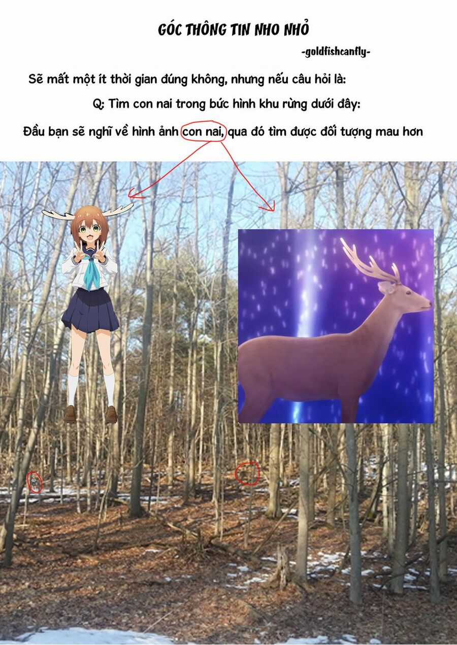 Radiation House Chapter 95 trang 25