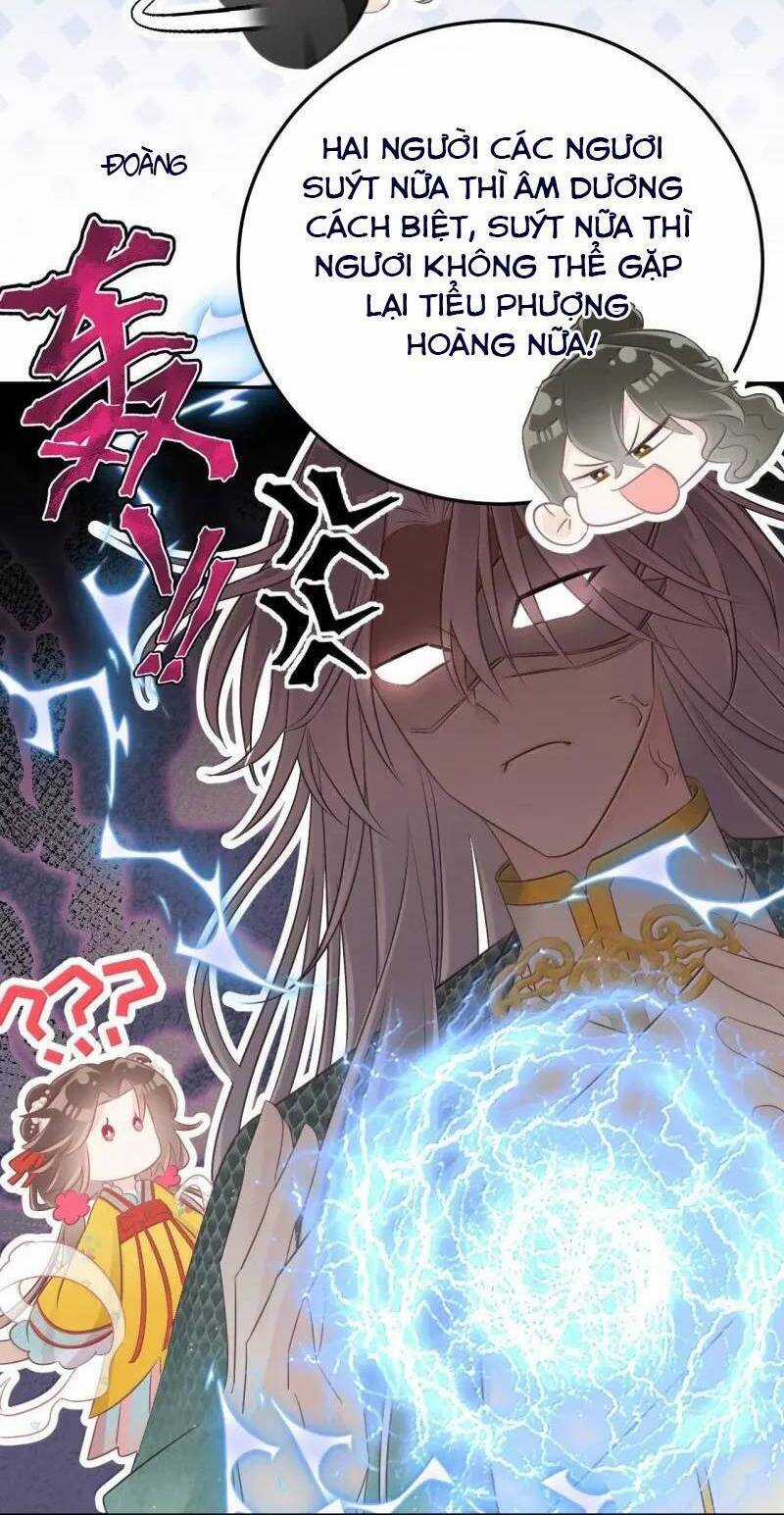 Rắn Cưng Nhà Tôi Lại Đang Diễn Trò Với Tôi Chapter 22 trang 21