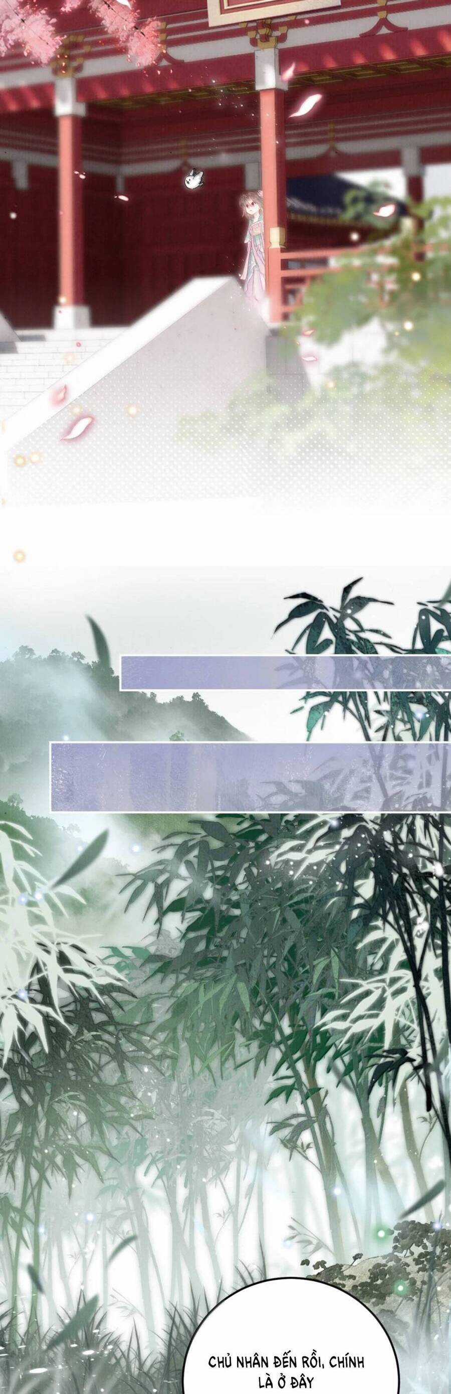 Rắn Cưng Nhà Tôi Lại Đang Diễn Trò Với Tôi Chapter 28 trang 6