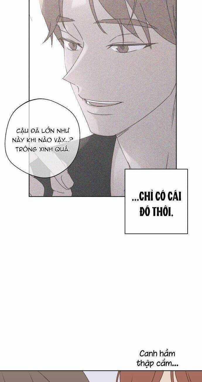 Ranh Giới Tình Yêu Chapter 31 trang 45