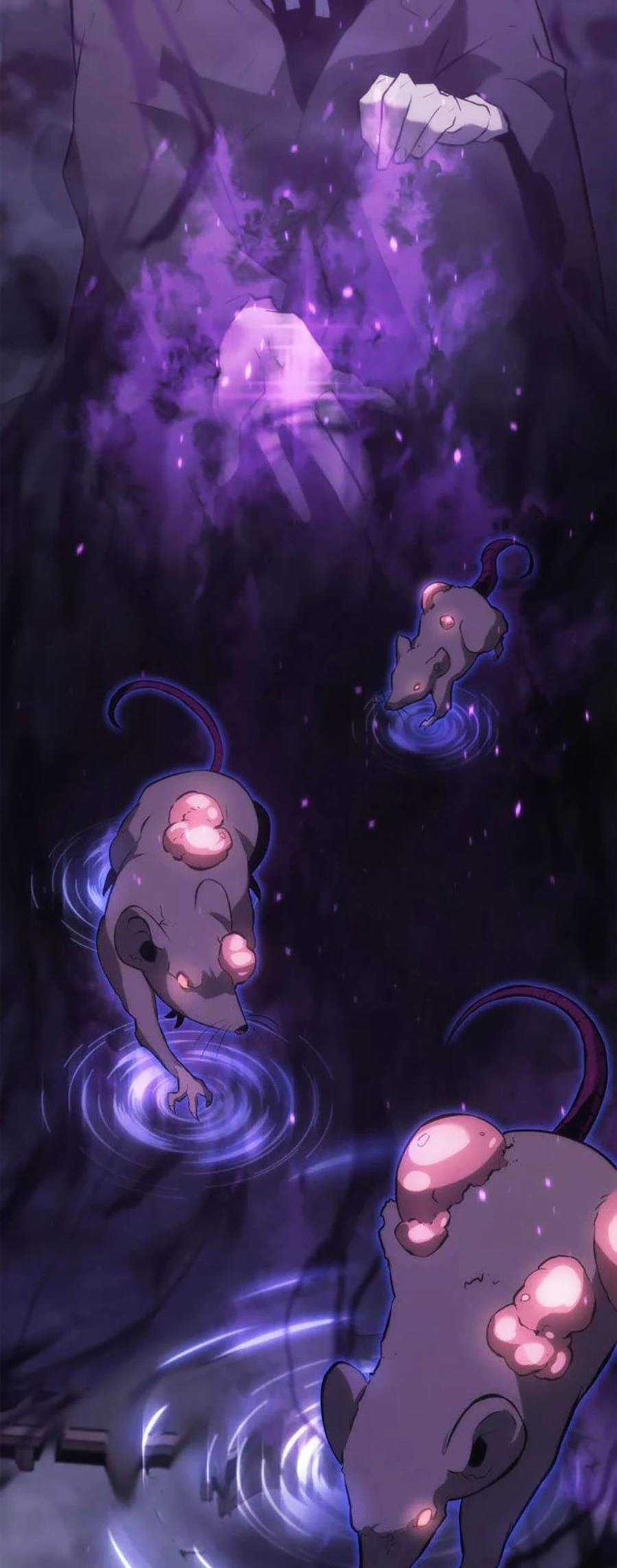 Ranker Cấp Sss Hồi Quy Chapter 13 trang 30