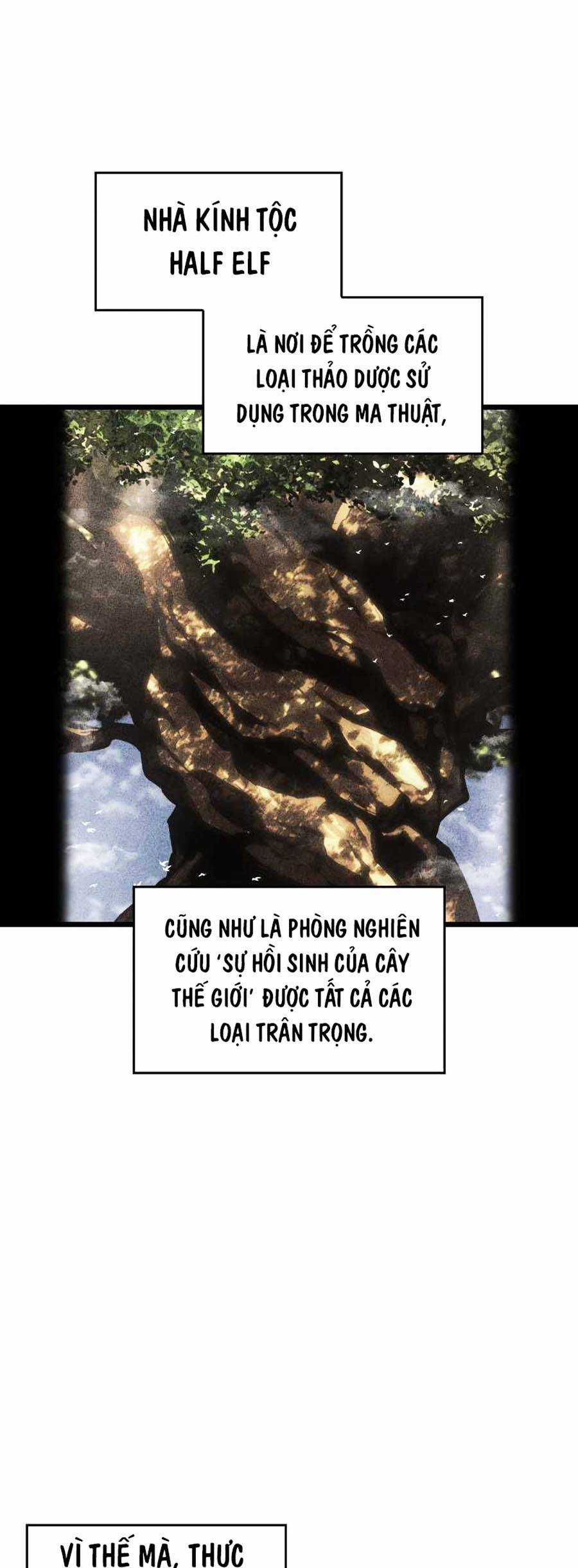 Ranker Cấp Sss Hồi Quy Chapter 76 trang 16