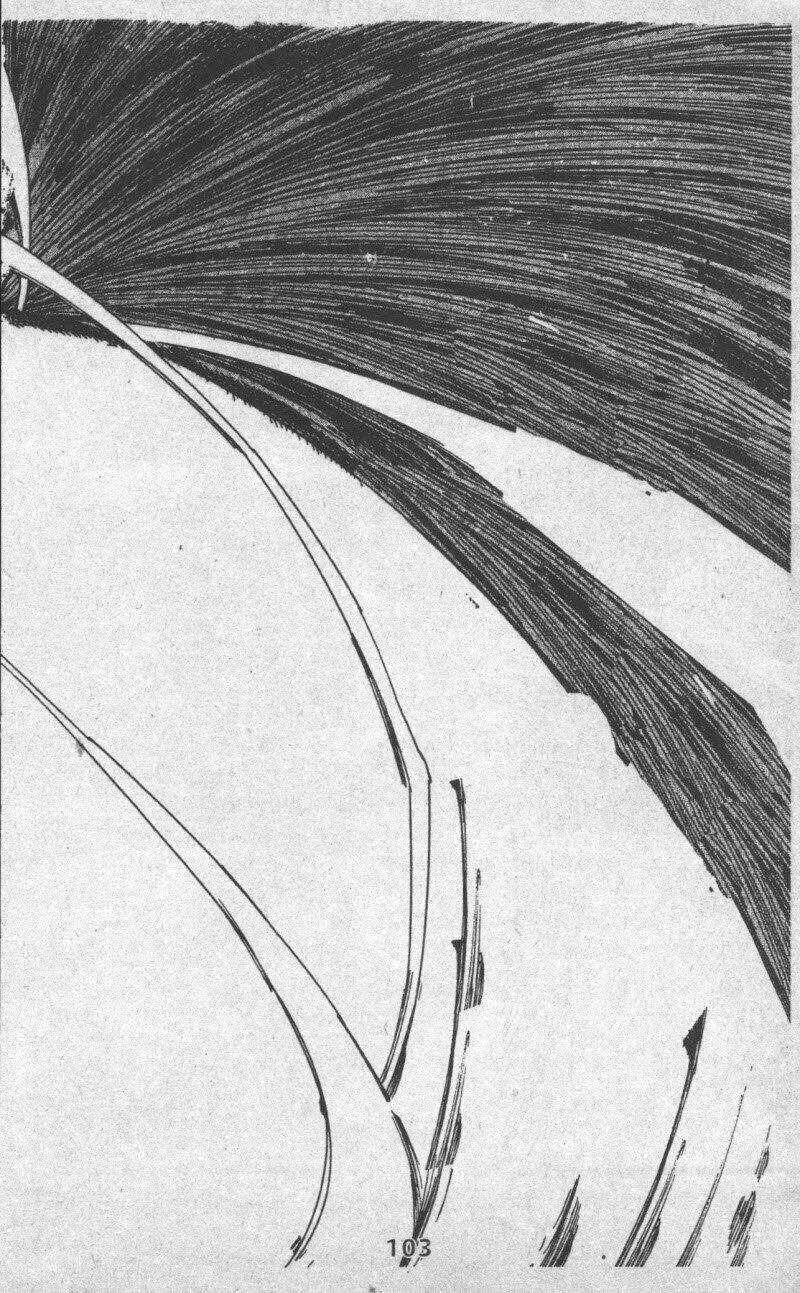 Rave Master (Scan) Chapter 33 trang 102