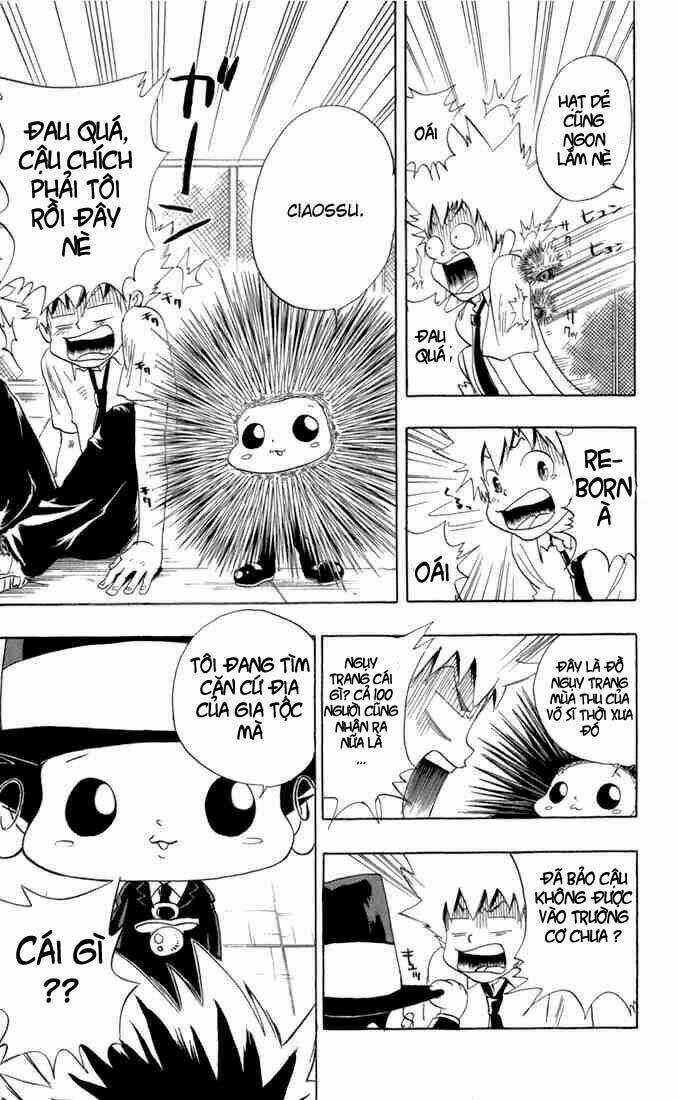 Reborn: Người Đào Tạo Sát Thủ Chapter 16 trang 4