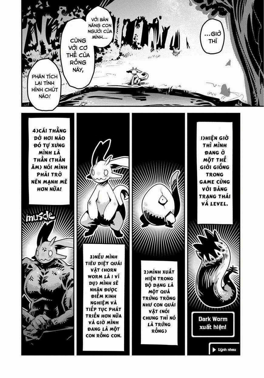Reincarnated As A Dragon's Egg - Let's Aim To Be The Strongest, Chapter 1 trang 26