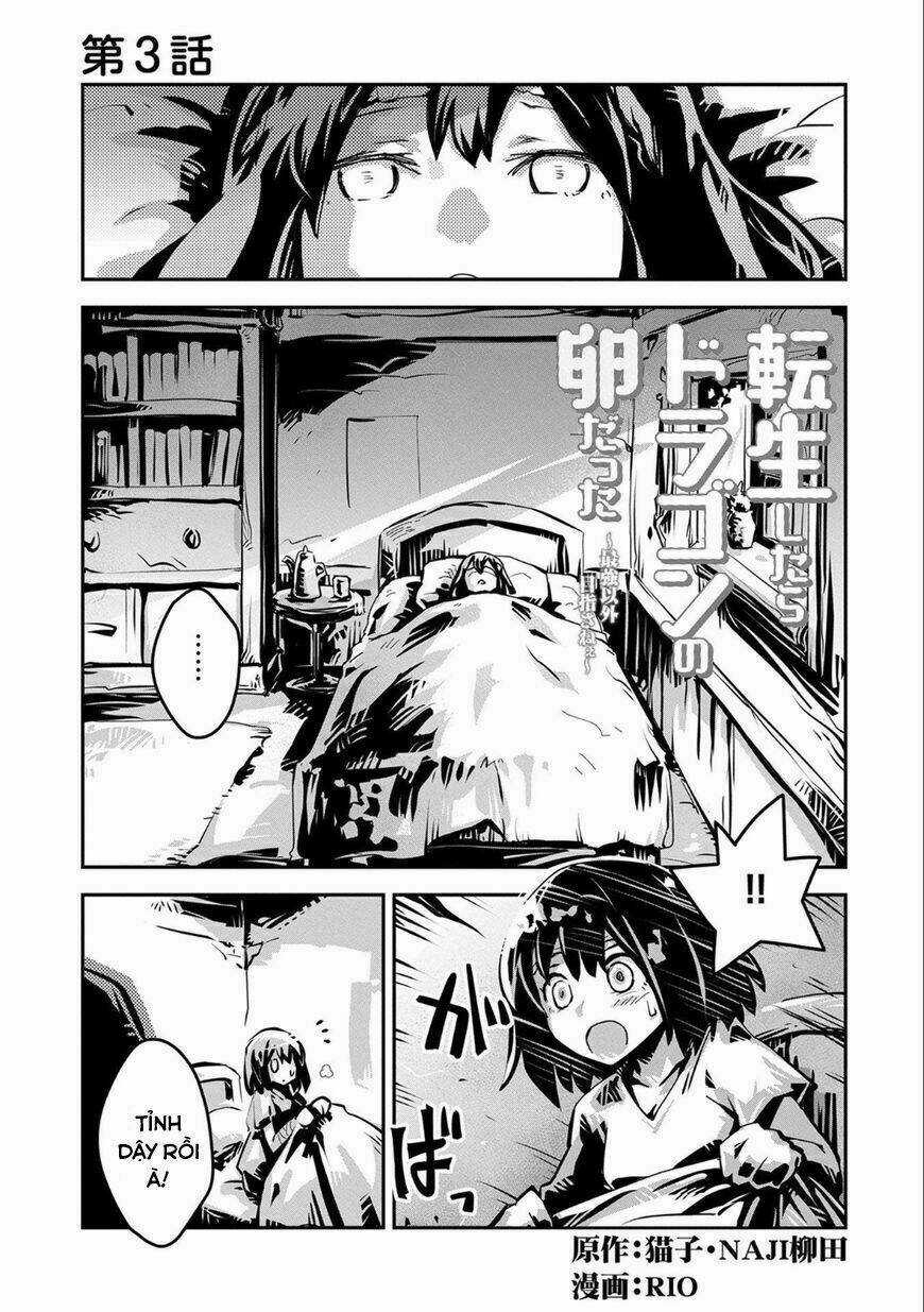 Reincarnated As A Dragon's Egg - Let's Aim To Be The Strongest, Chapter 3 trang 0