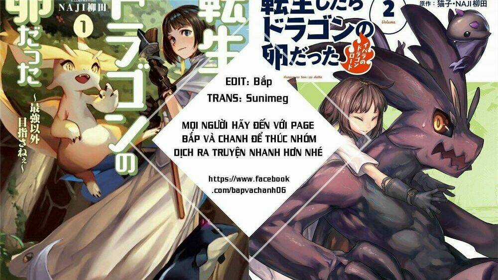 Reincarnated As A Dragon's Egg - Let's Aim To Be The Strongest, Chapter 9 trang 30