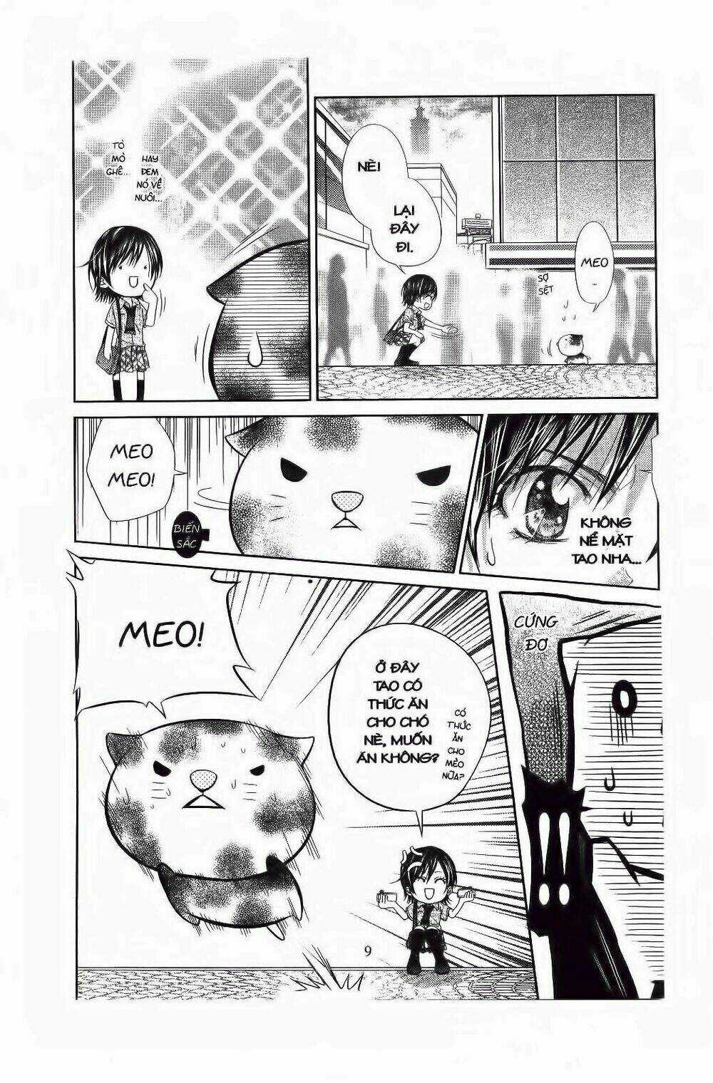 Roman Chapter 1 trang 8