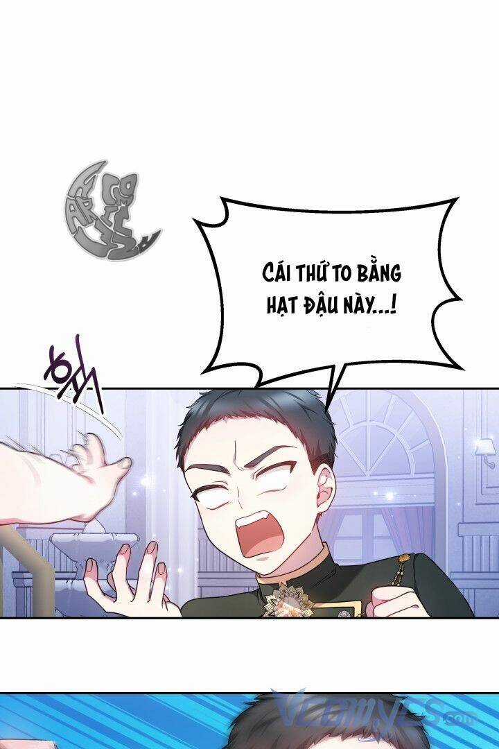 Rồng Con Thuần Hóa Những Kẻ Điên Rồ Chapter 11 trang 1