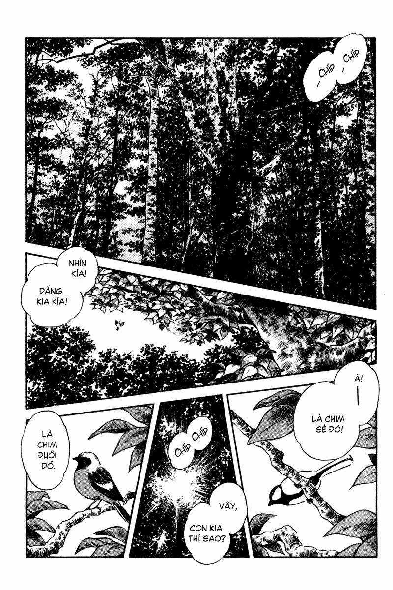 Rough - Ngọc Thô Chapter 33 trang 2