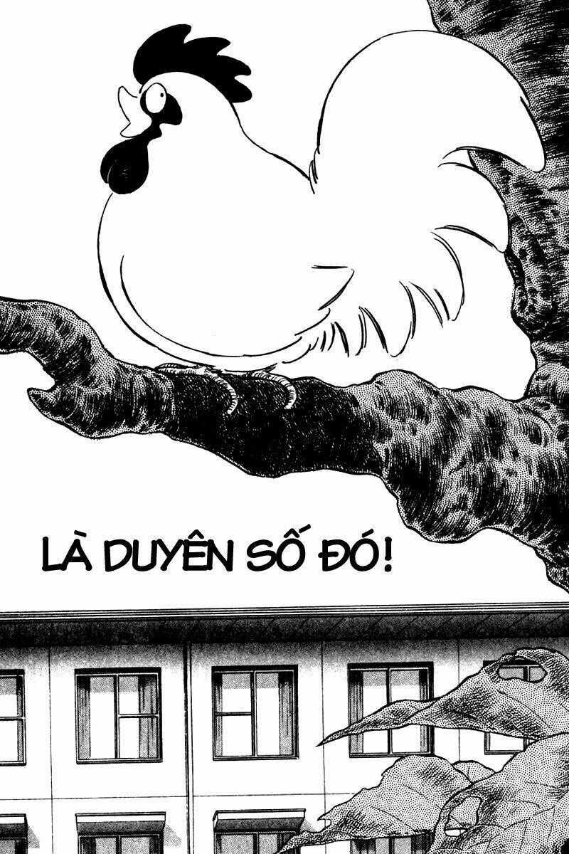 Rough - Ngọc Thô Chapter 34 trang 1