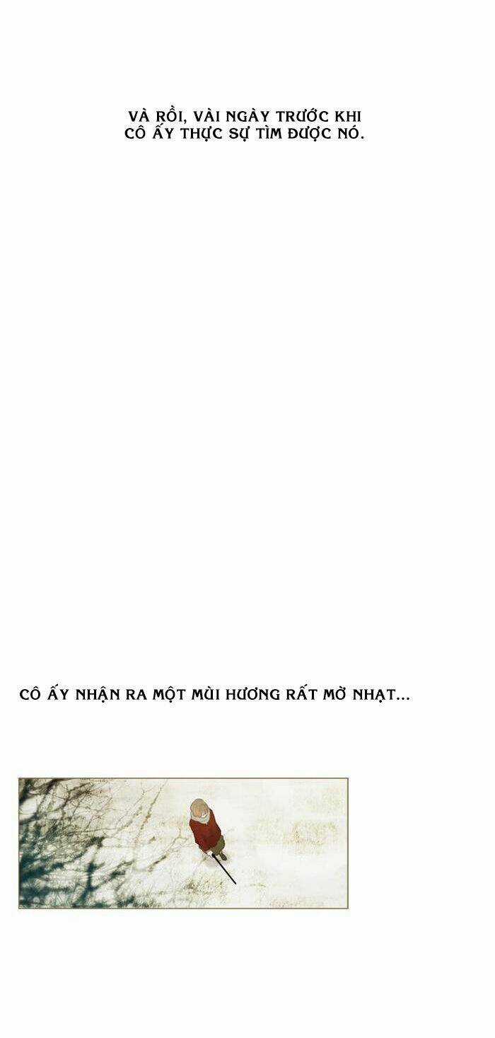 Rừng Đông Chapter 12 trang 8