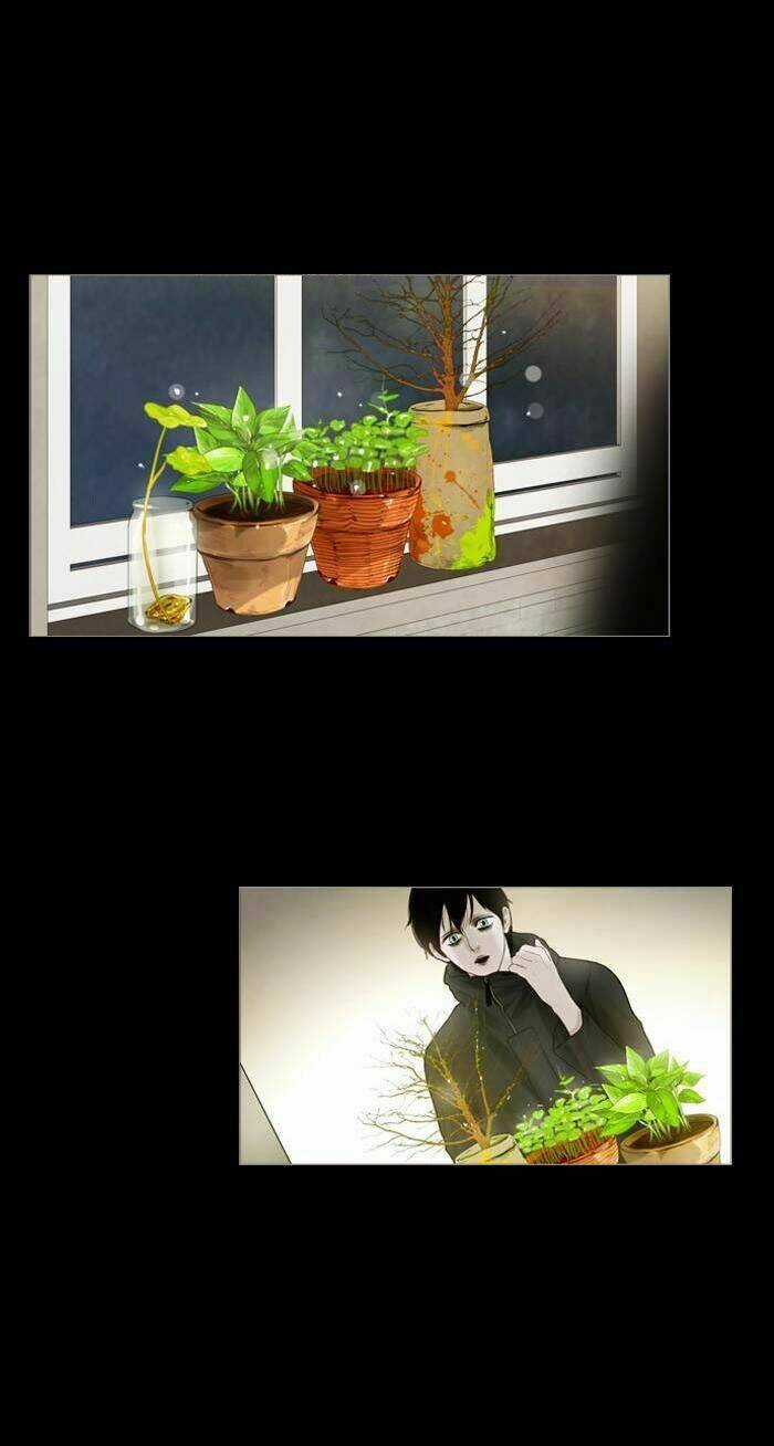 Rừng Đông Chapter 4 trang 5