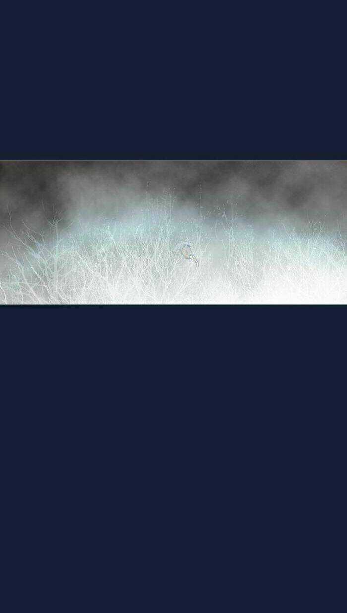 Rừng Đông Chapter 58 trang 19