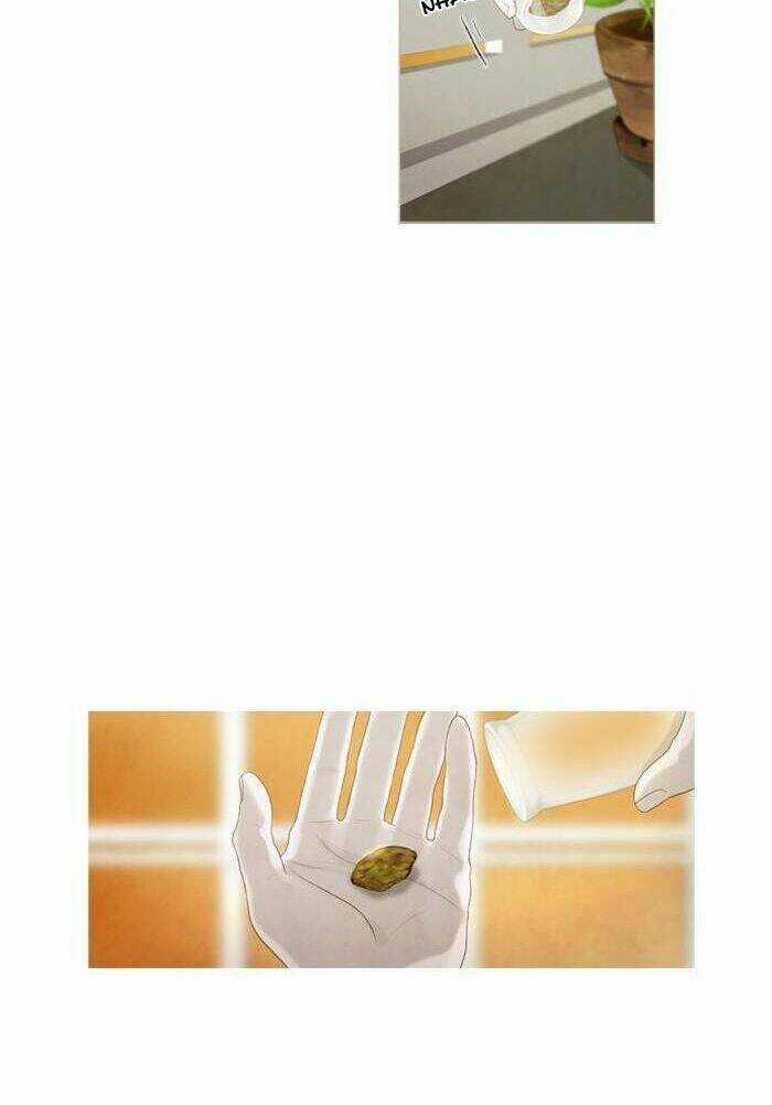 Rừng Đông Chapter 9 trang 41