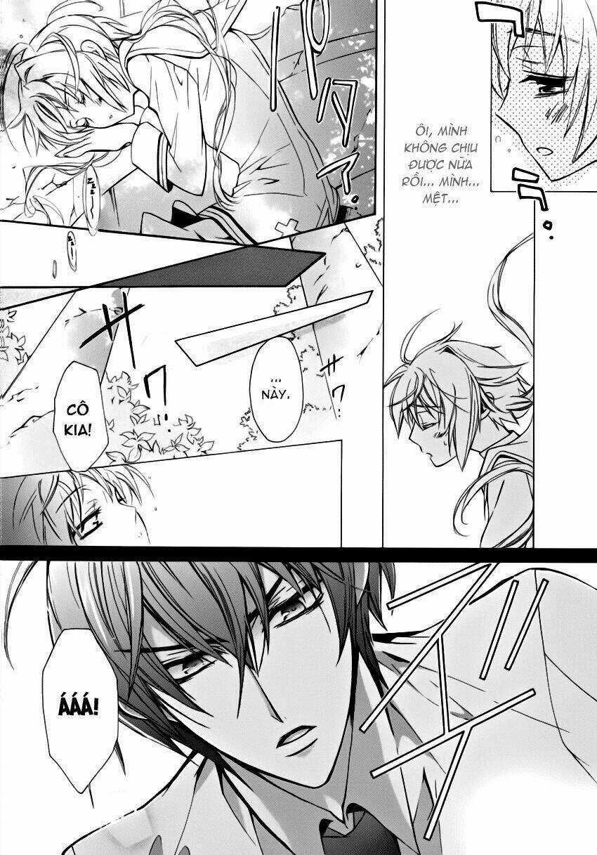 S.L.H (Stray Love Hearts) Chapter 1 trang 33