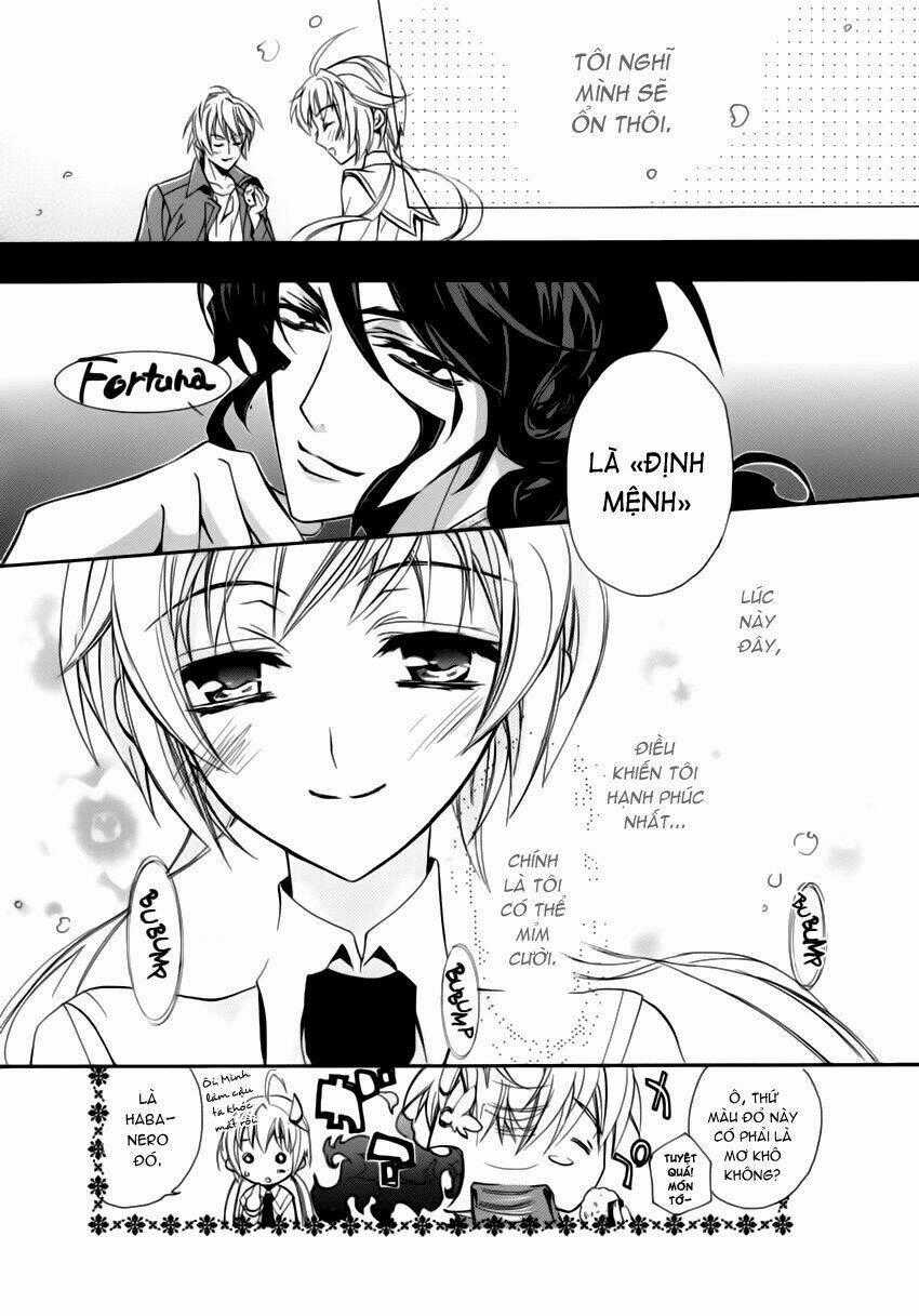 S.L.H (Stray Love Hearts) Chapter 1 trang 46